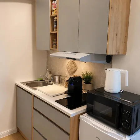 アパート 2 With Terrace And Fireplaces *