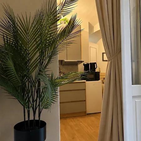2 With Terrace And Fireplaces פראג
